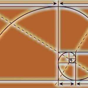 20230209_193347_gallery